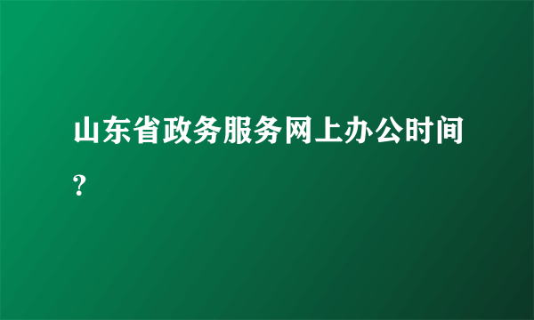 山东省政务服务网上办公时间？