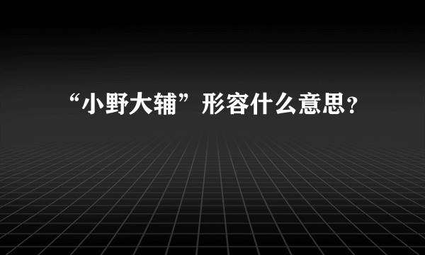 “小野大辅”形容什么意思？