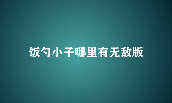 饭勺小子哪里有无敌版