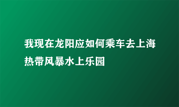 我现在龙阳应如何乘车去上海热带风暴水上乐园