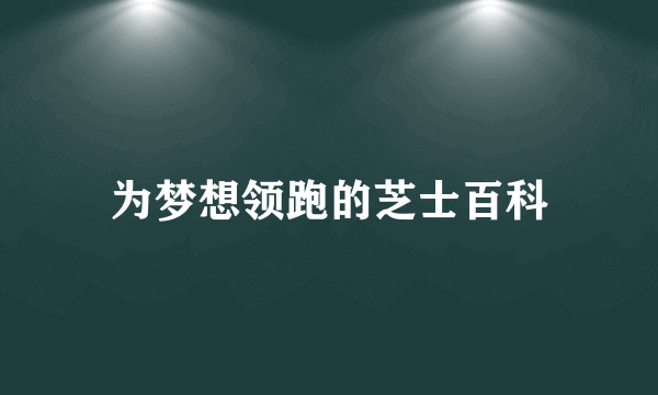 为梦想领跑的芝士百科