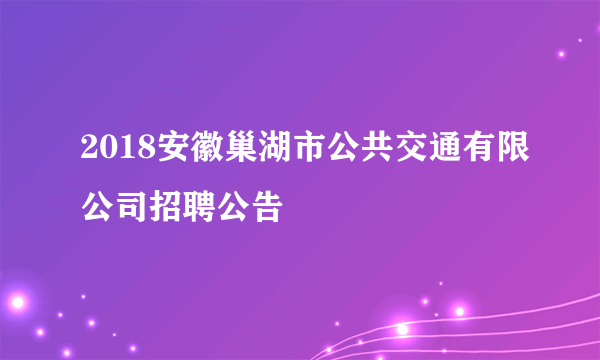 2018安徽巢湖市公共交通有限公司招聘公告