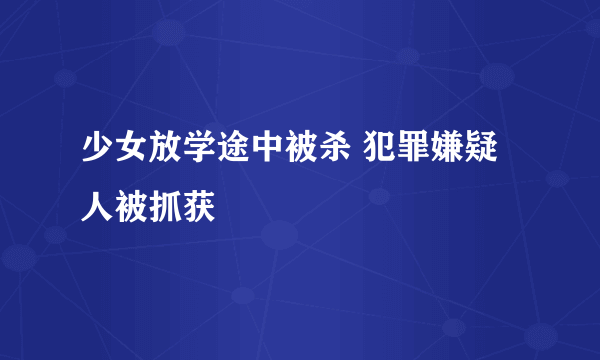 少女放学途中被杀 犯罪嫌疑人被抓获