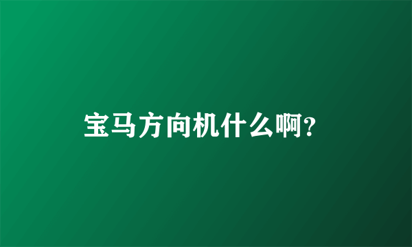 宝马方向机什么啊？