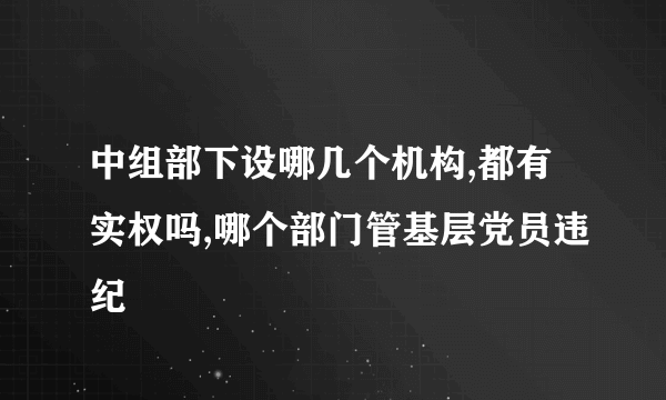 中组部下设哪几个机构,都有实权吗,哪个部门管基层党员违纪