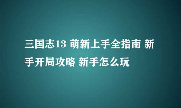 三国志13 萌新上手全指南 新手开局攻略 新手怎么玩