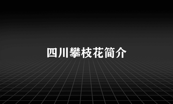 四川攀枝花简介