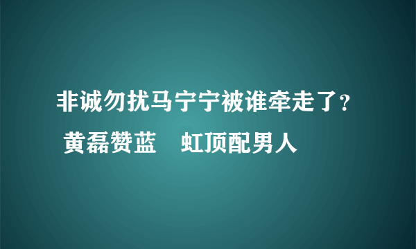 非诚勿扰马宁宁被谁牵走了？ 黄磊赞蓝祎虹顶配男人