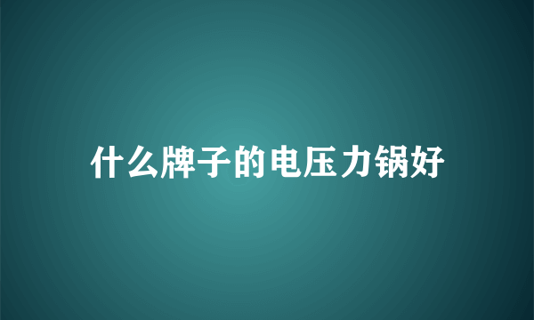 什么牌子的电压力锅好