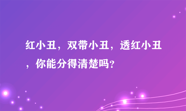 红小丑，双带小丑，透红小丑，你能分得清楚吗？