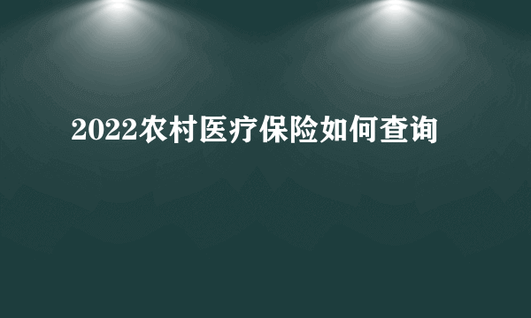 2022农村医疗保险如何查询