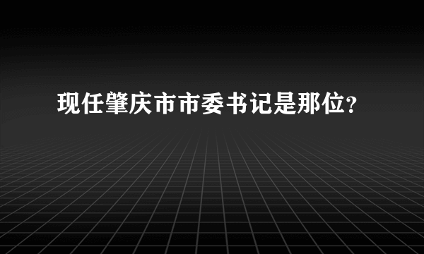 现任肇庆市市委书记是那位？