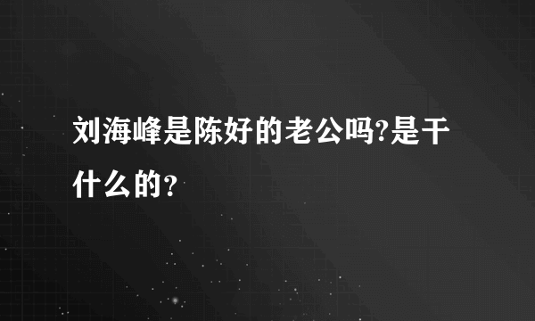 刘海峰是陈好的老公吗?是干什么的？