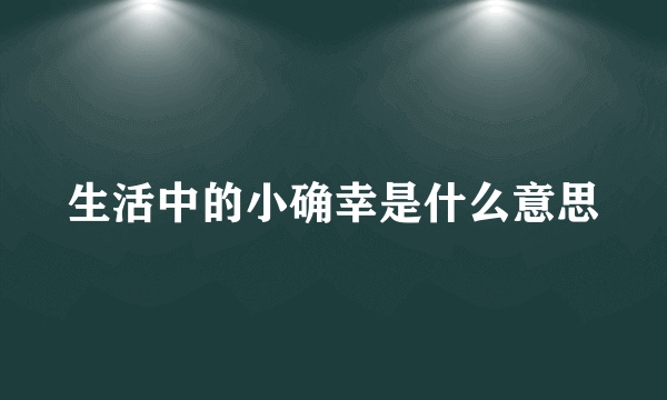 生活中的小确幸是什么意思