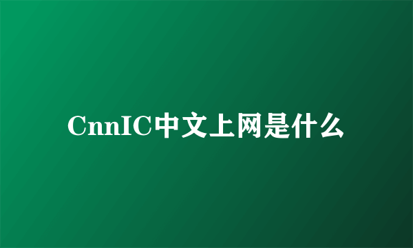 CnnIC中文上网是什么