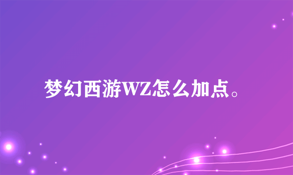 梦幻西游WZ怎么加点。