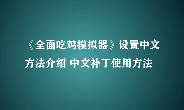 《全面吃鸡模拟器》设置中文方法介绍 中文补丁使用方法