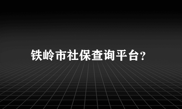 铁岭市社保查询平台？