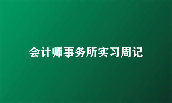 会计师事务所实习周记