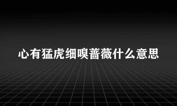 心有猛虎细嗅蔷薇什么意思