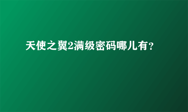 天使之翼2满级密码哪儿有？