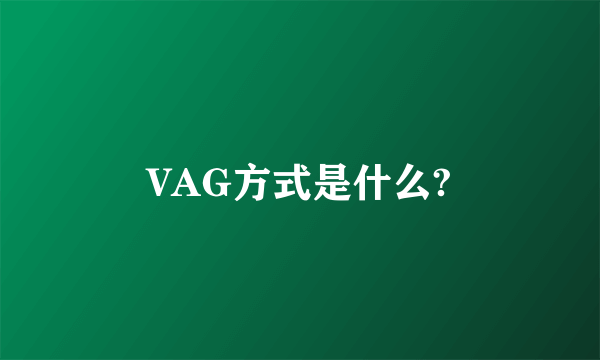 VAG方式是什么?