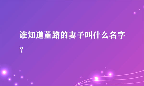 谁知道董路的妻子叫什么名字？