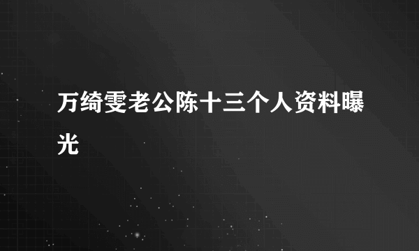 万绮雯老公陈十三个人资料曝光