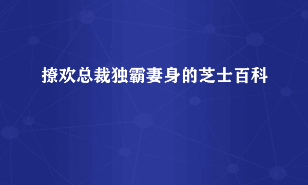 撩欢总裁独霸妻身的芝士百科