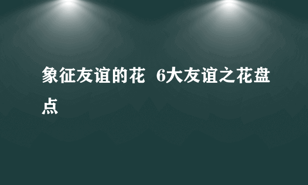 象征友谊的花  6大友谊之花盘点