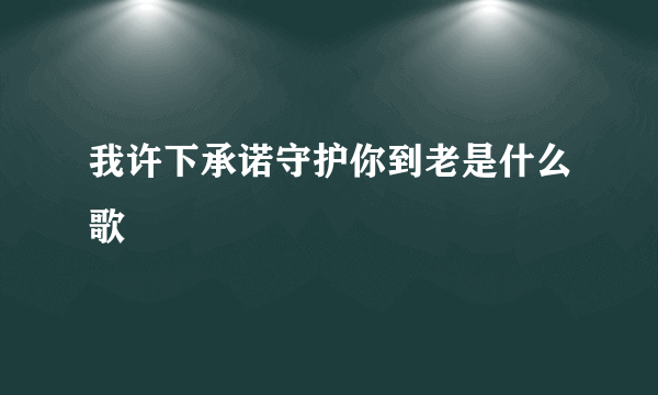 我许下承诺守护你到老是什么歌