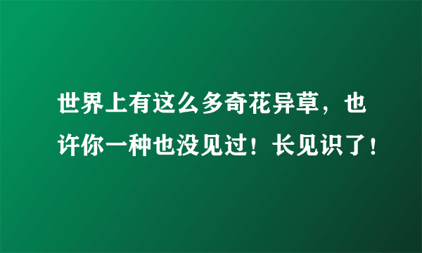 世界上有这么多奇花异草，也许你一种也没见过！长见识了！