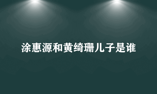 涂惠源和黄绮珊儿子是谁