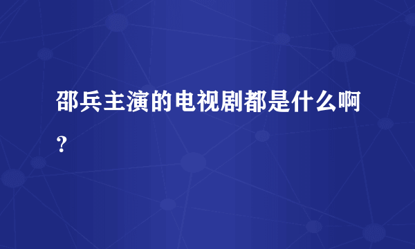 邵兵主演的电视剧都是什么啊？