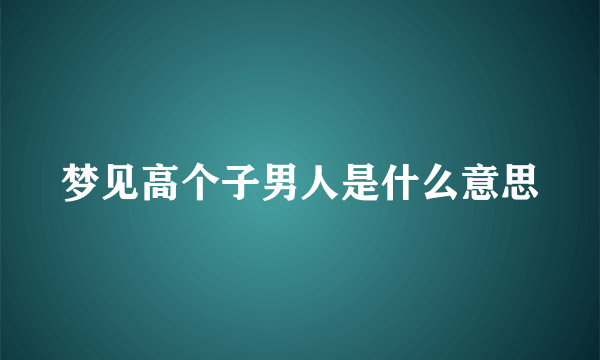 梦见高个子男人是什么意思