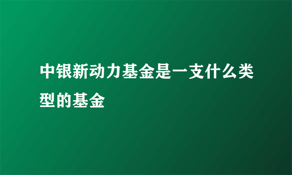 中银新动力基金是一支什么类型的基金