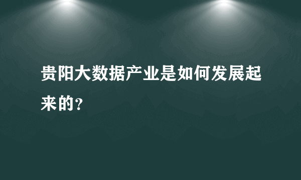 贵阳大数据产业是如何发展起来的？