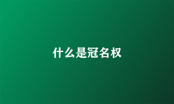 什么是冠名权