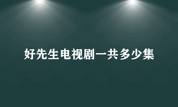 好先生电视剧一共多少集