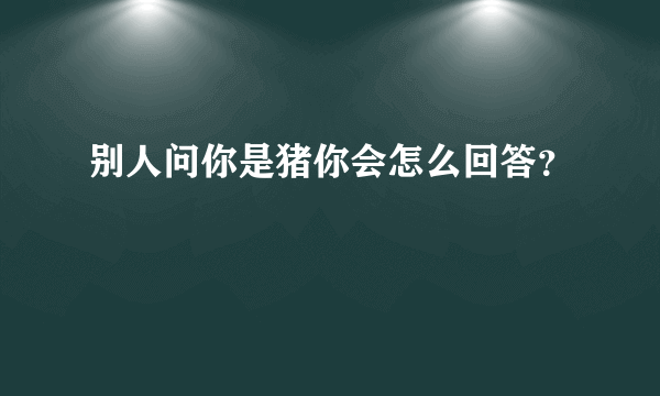 别人问你是猪你会怎么回答？