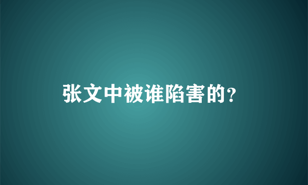 张文中被谁陷害的？