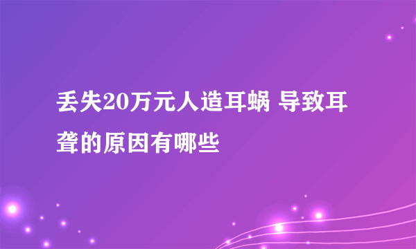 丢失20万元人造耳蜗 导致耳聋的原因有哪些