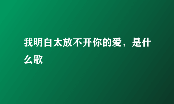 我明白太放不开你的爱，是什么歌