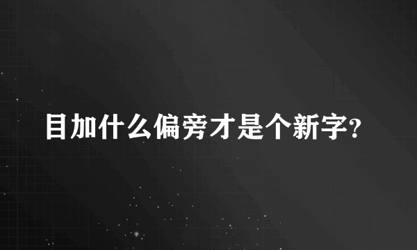 目加什么偏旁才是个新字？