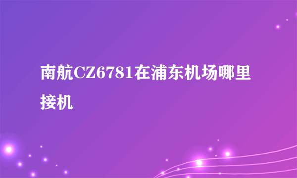 南航CZ6781在浦东机场哪里接机