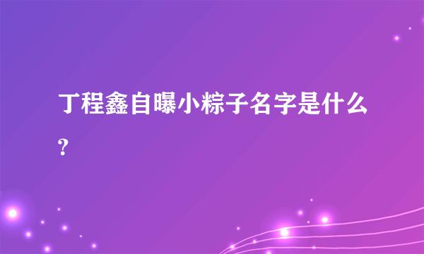 丁程鑫自曝小粽子名字是什么？