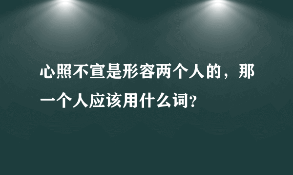 心照不宣是形容两个人的，那一个人应该用什么词？