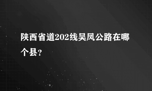 陕西省道202线吴凤公路在哪个县？