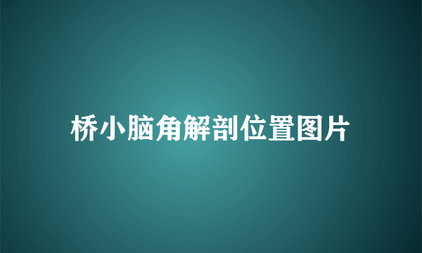 桥小脑角解剖位置图片