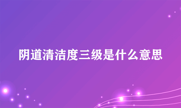 阴道清洁度三级是什么意思